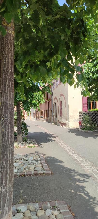 Bed and Breakfast Cour Sud Rouffach Exterior foto